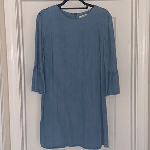 Zara Premium Denim Shift Dress